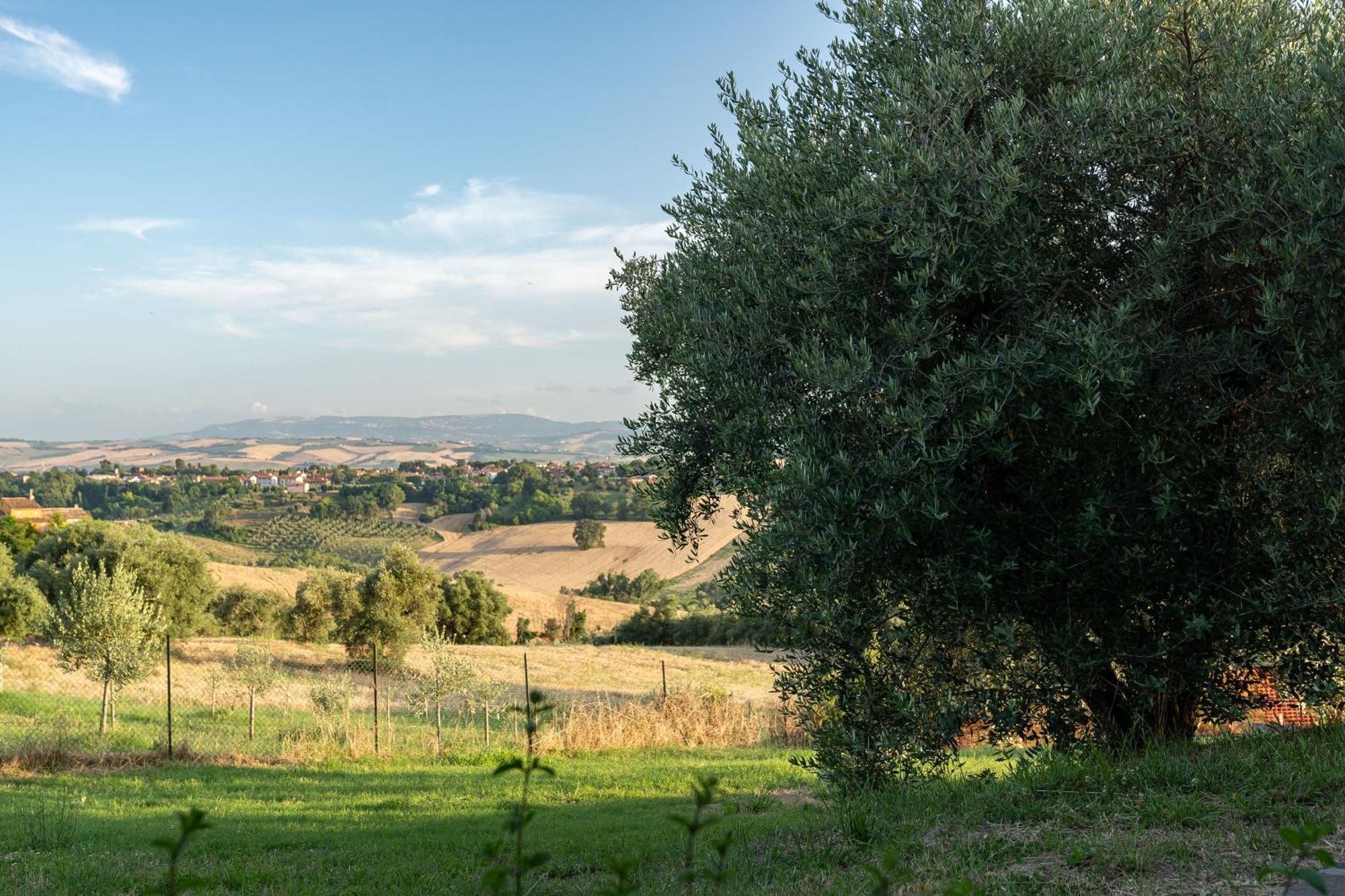 B&B La Figuretta Jesi Exterior foto