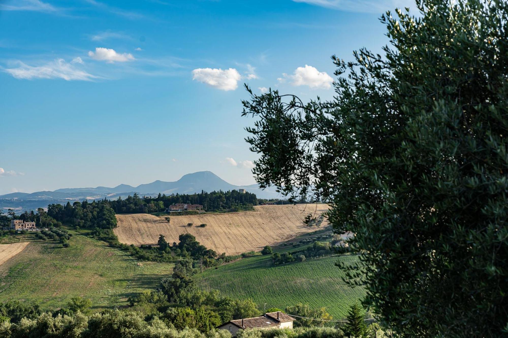 B&B La Figuretta Jesi Exterior foto