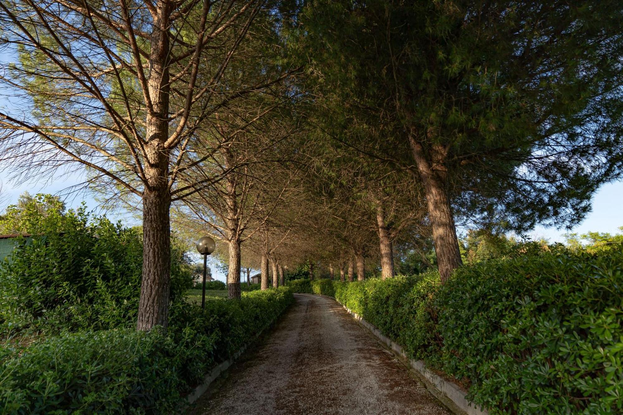 B&B La Figuretta Jesi Exterior foto